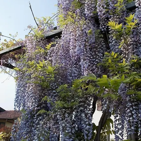 Angelo Del Lotto Bed & Breakfast